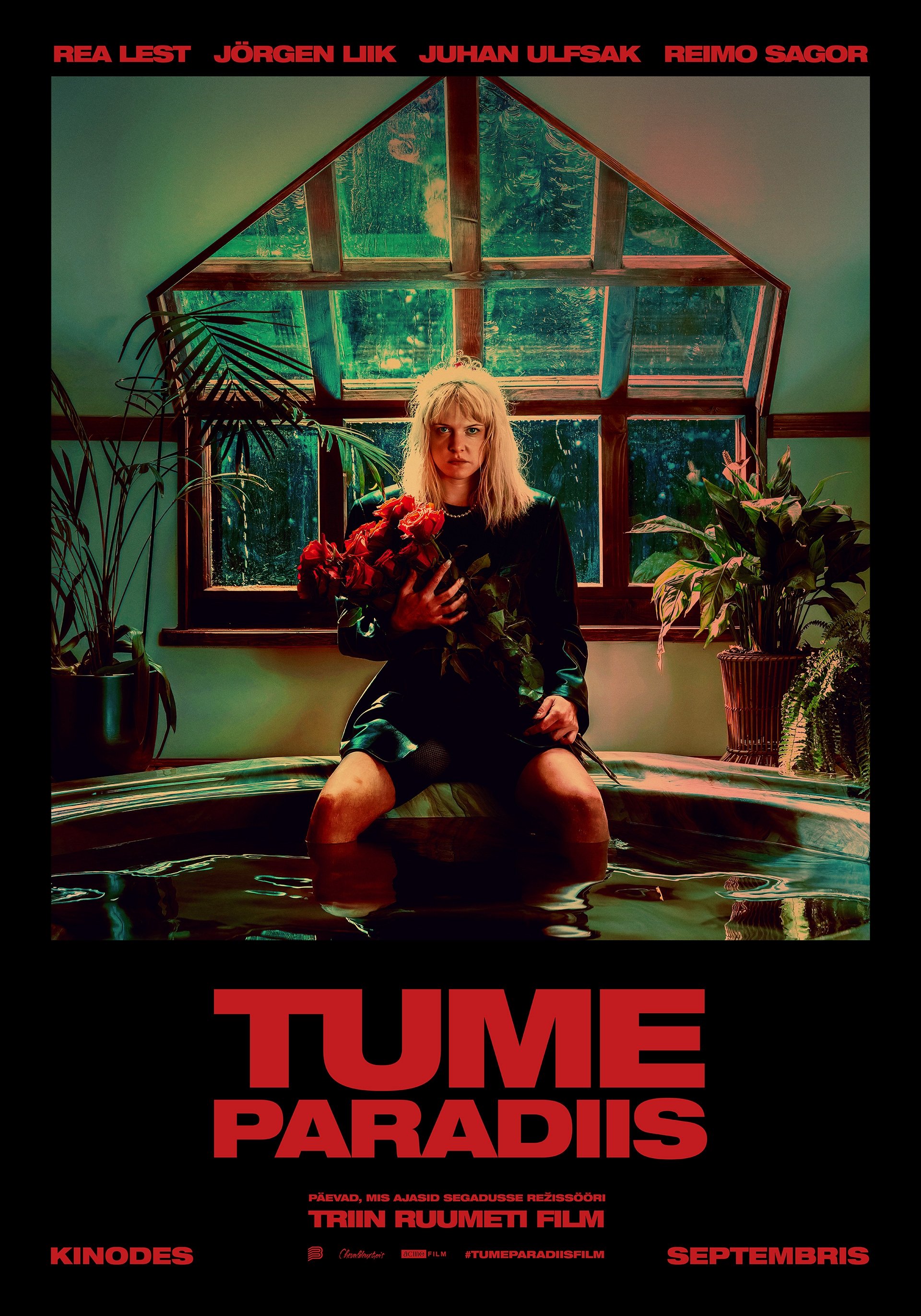 Dark Paradise poster