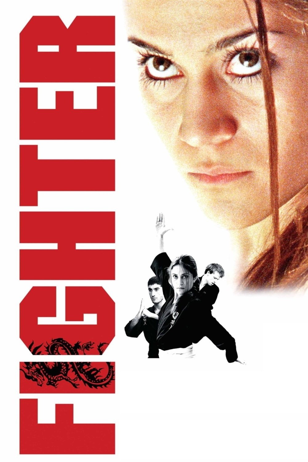 Fighter poster