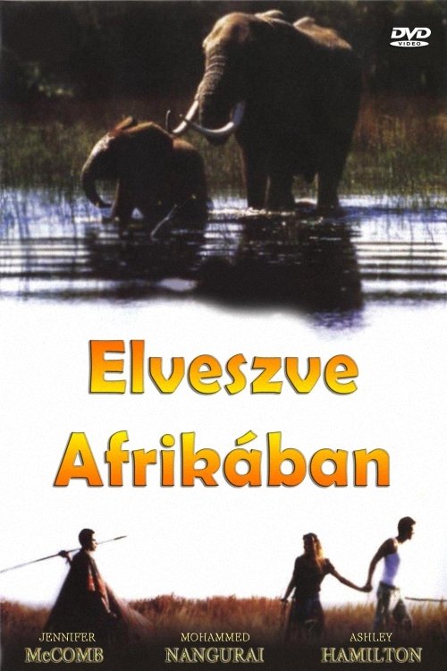 Lost in Africa poster
