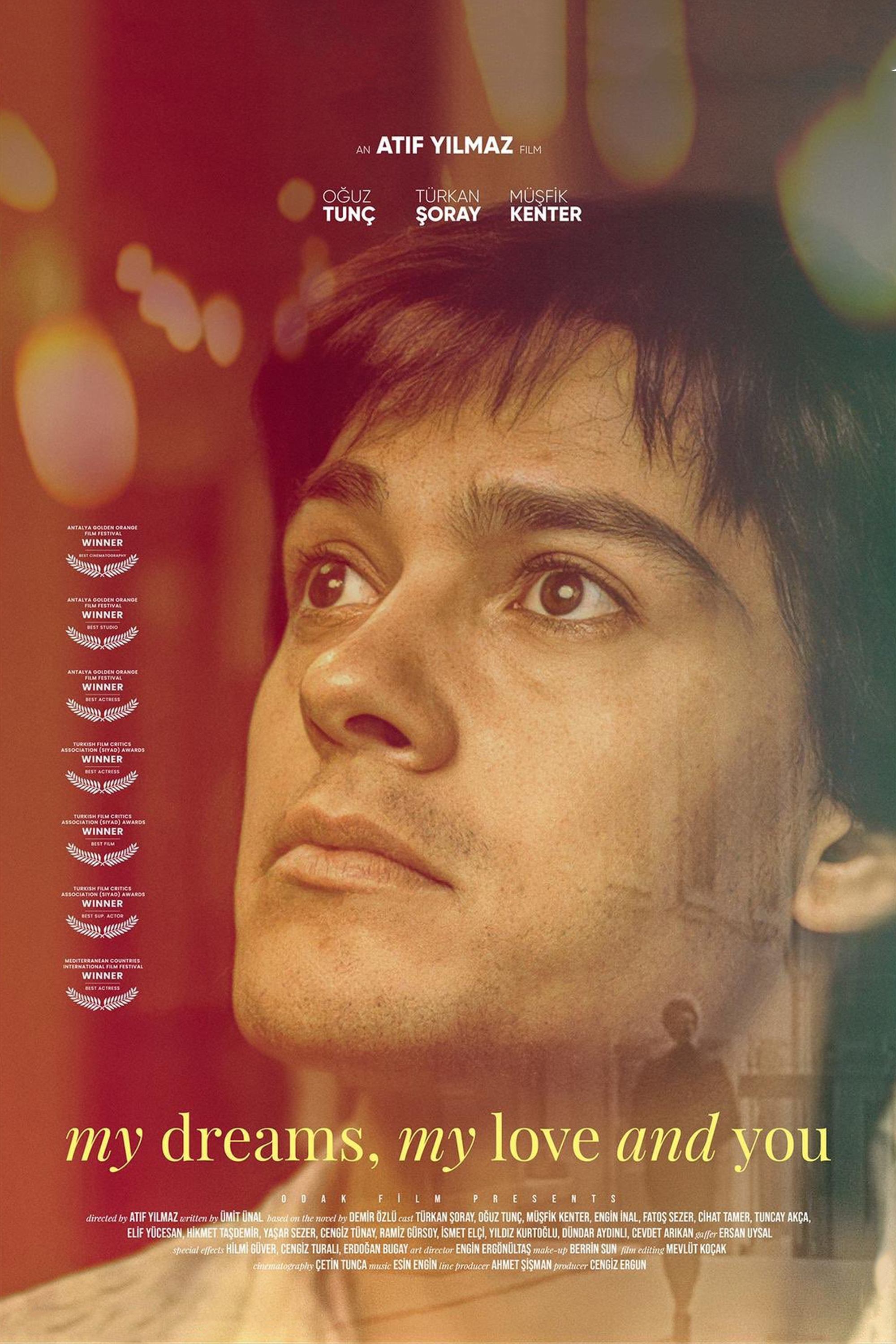 My Dreams, My Love, and You poster