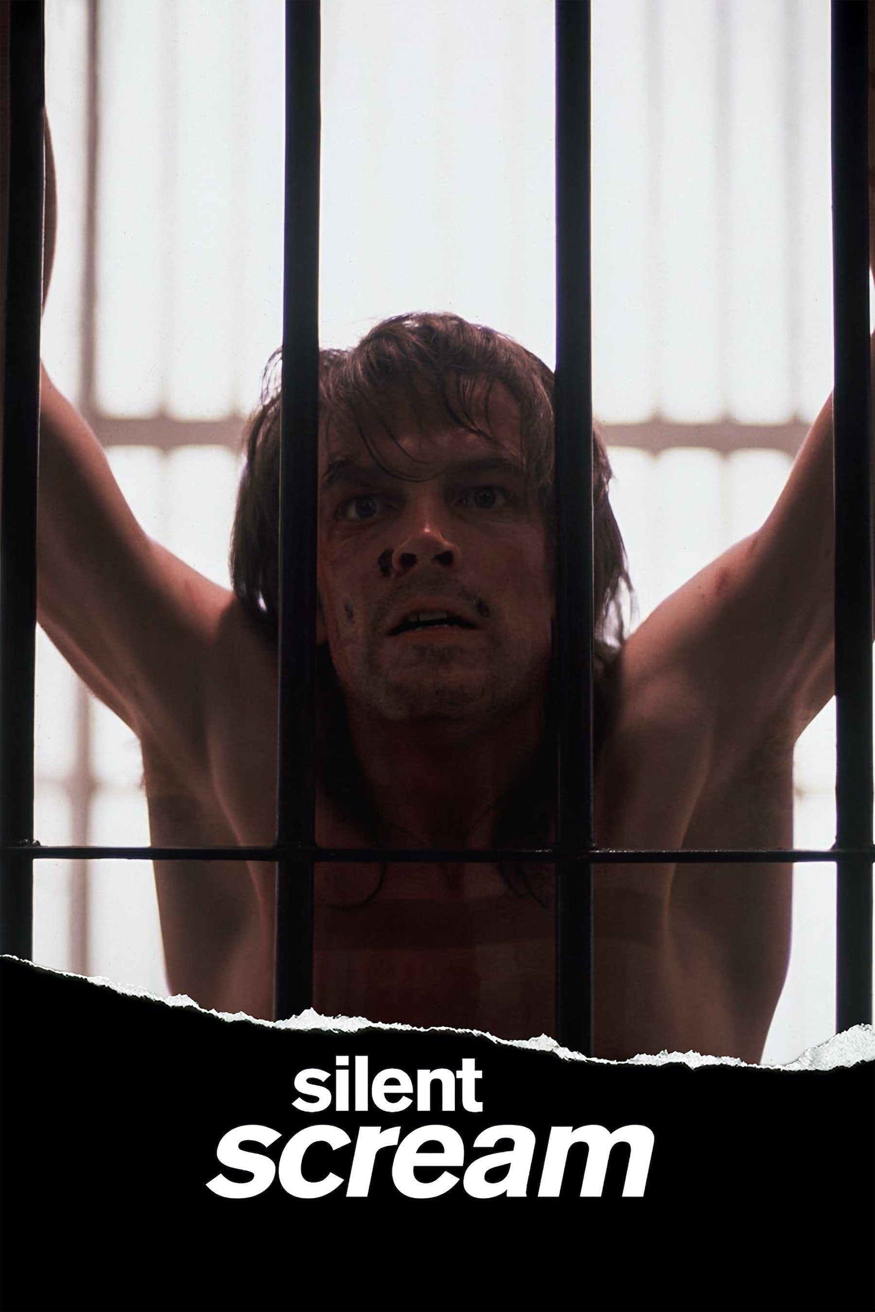 Silent Scream poster