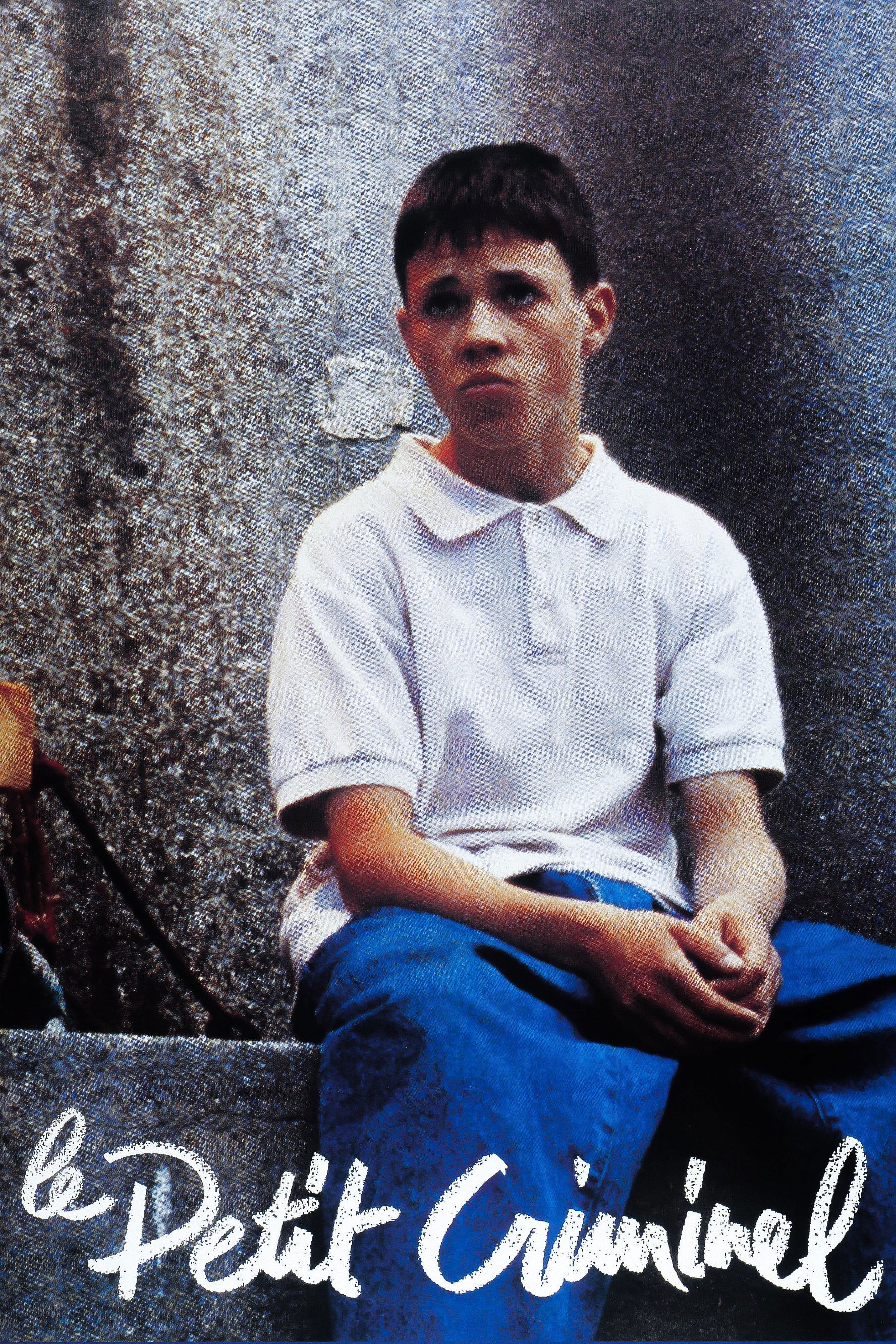 The Little Gangster poster