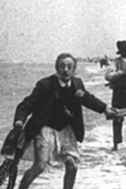 The Misadventure of a French Gentleman Without Pants at the Zandvoort Beach poster