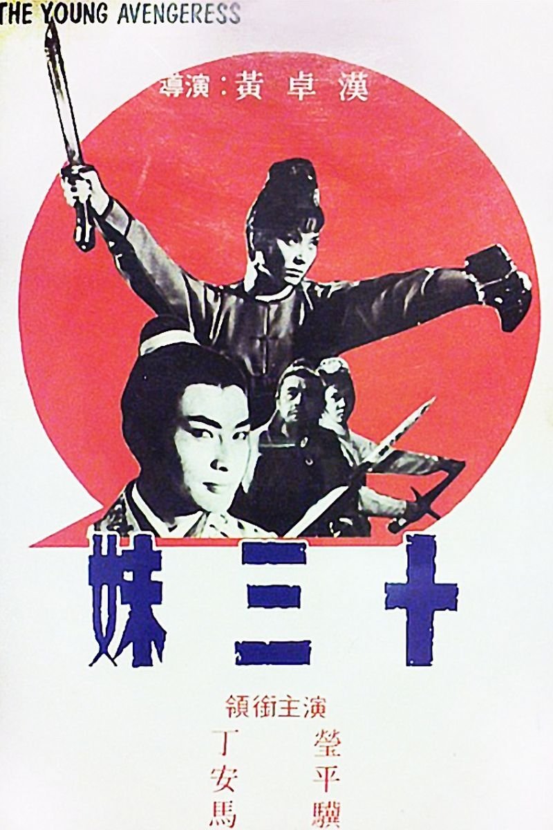 The Young Avengeress poster
